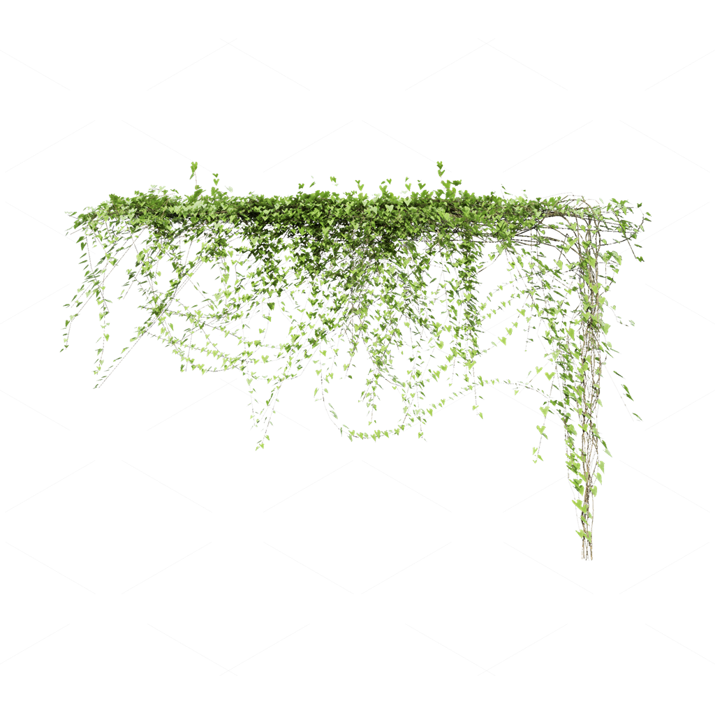 Climbing Plants 3D Models