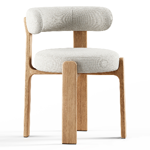 Modern Dining Chair