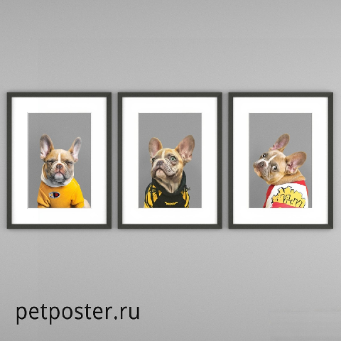 Modern Picture Frames