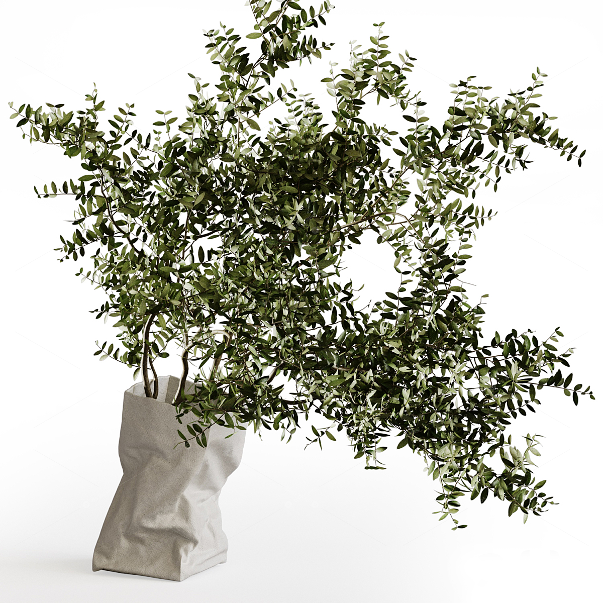 Vases & Floral Arrangements 3D Models 2