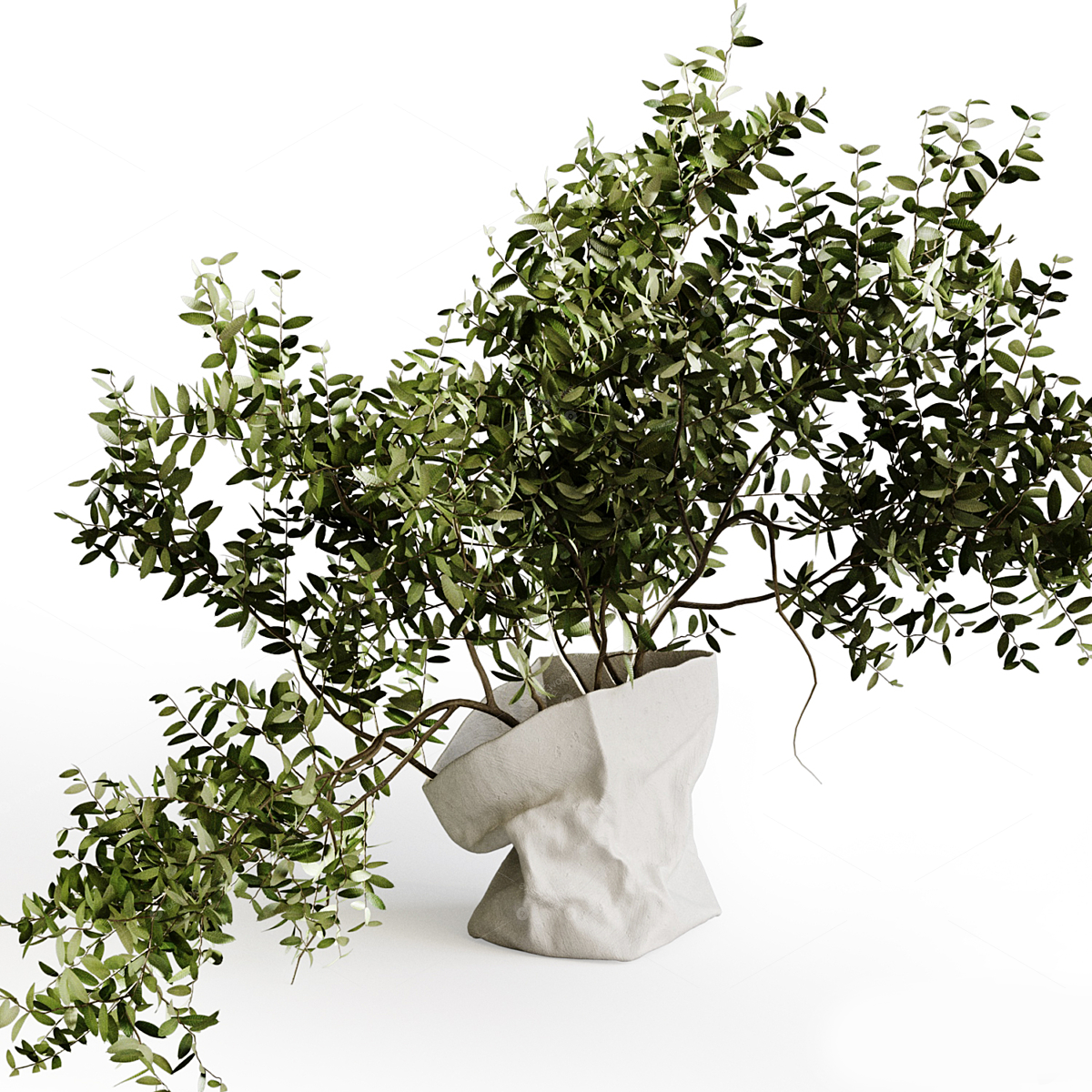 Vases & Floral Arrangements 3D Models 3