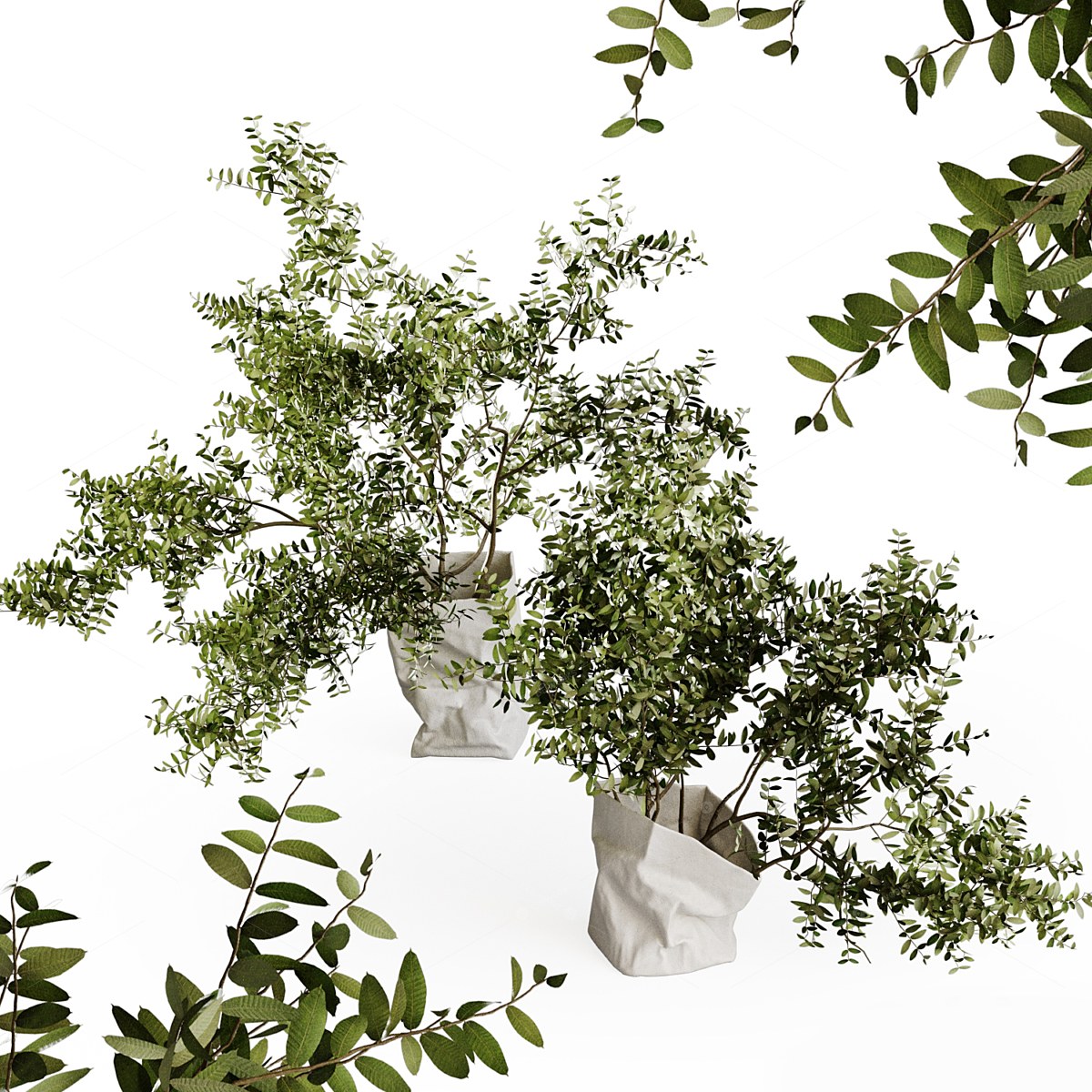 Vases & Floral Arrangements 3D Models
