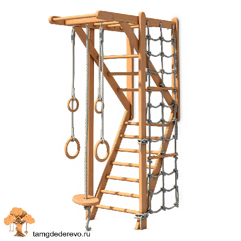 Modern Home Gym