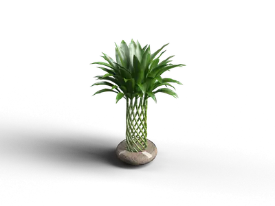Potted Green Plant In Stone Base 3d model