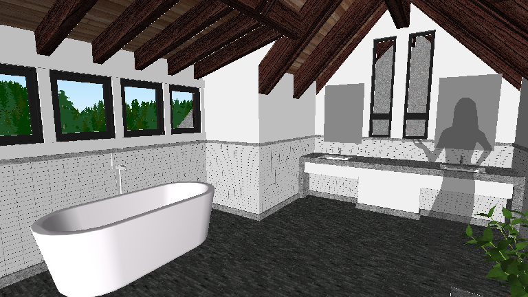 Transitional Bathroom