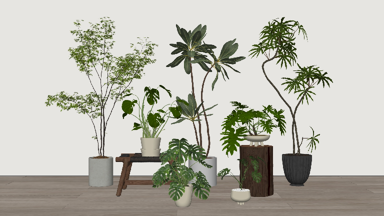 Modern Potted Plant
