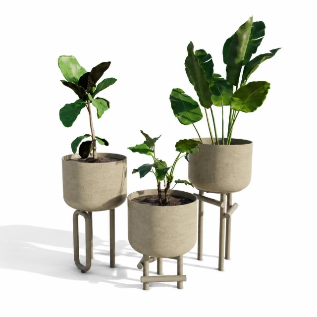 Modern Concrete Planter Set with Tropical Plants 3d model