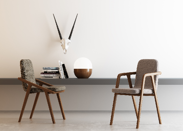 Modern Dining Chair