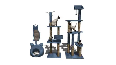 Cat Tree