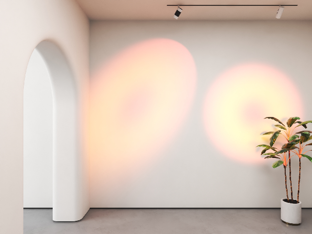 Modern Downlight & Spotlight