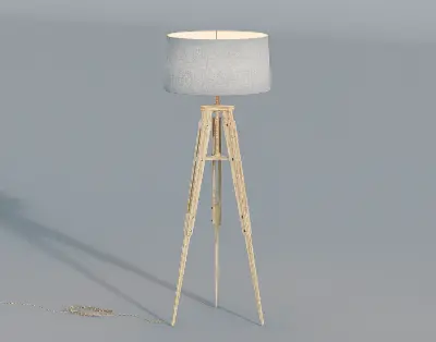 Modern Floor Lamp