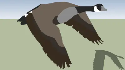 Modern Poultry & Livestock