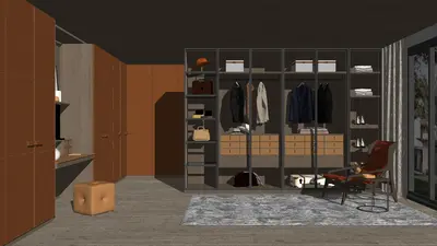 Modern Walk-in Closet