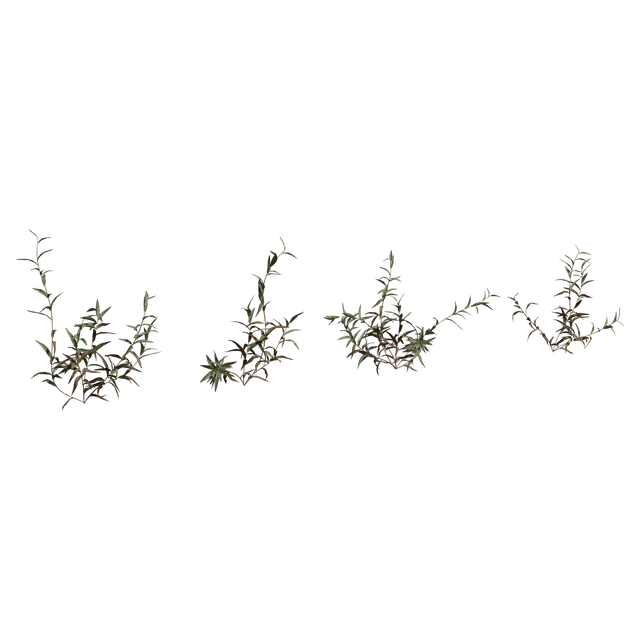 Wild Tall Grass and Weeds Foliage Set 3d model