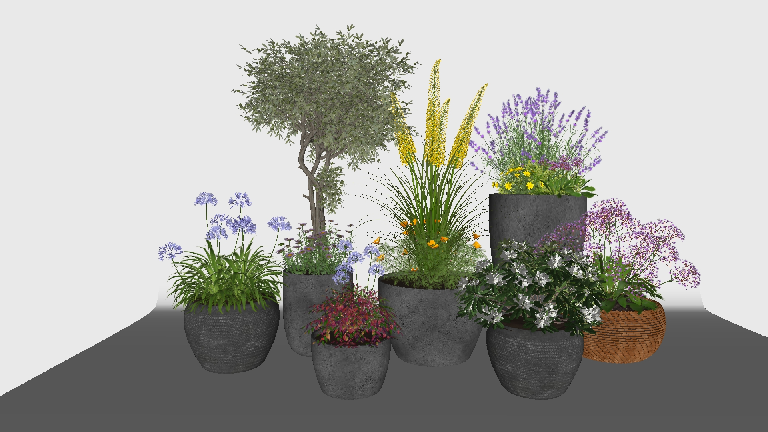 Modern Potted Plant