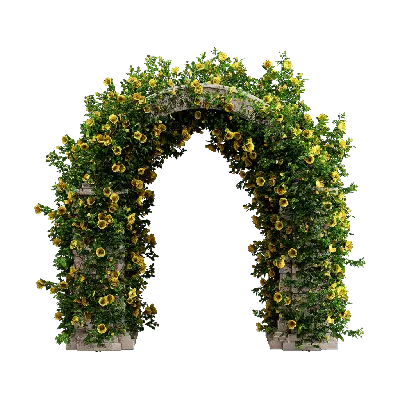 Floral arch 01 3d model