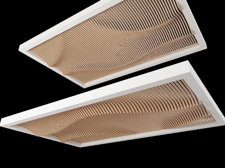 Modern Organic Modern Ceiling