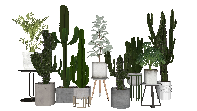 Modern Potted Plant