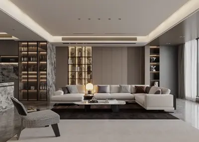 Modern Home Living Room
