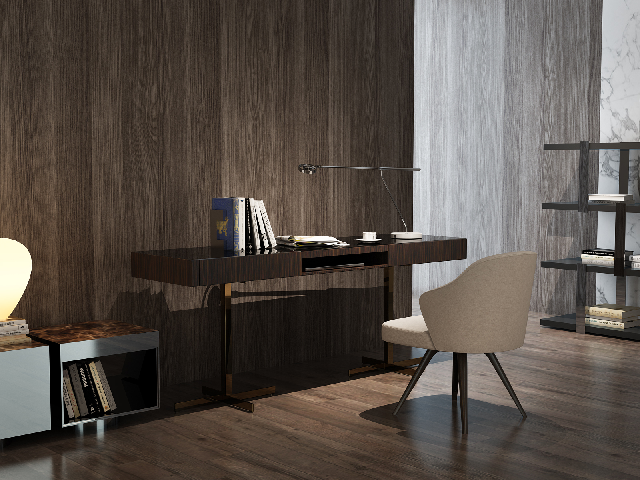 Modern Desk & Chair Set