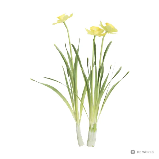 Narcissus pseudonarcissus 03 3d model - Image 1