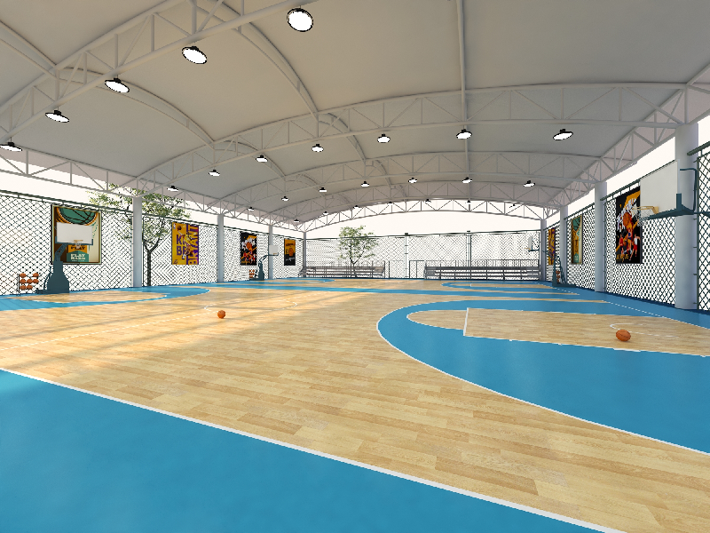 Modern Sports Court