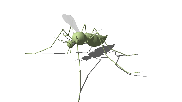 Insect Butterfly 02