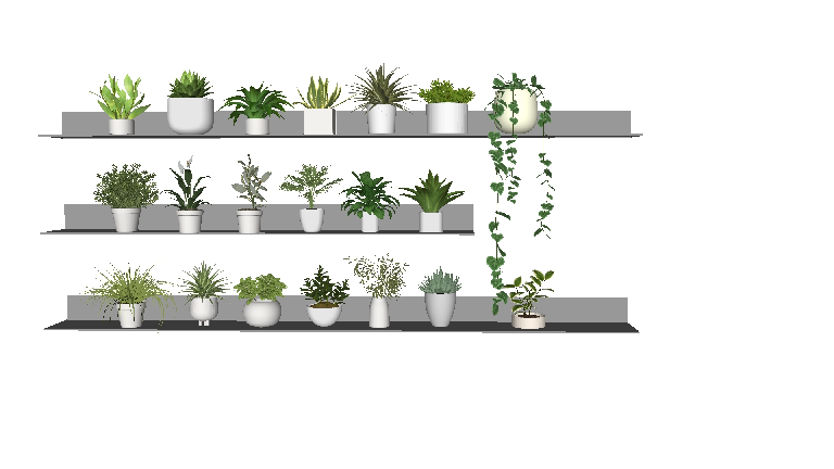 Modern Potted Plant