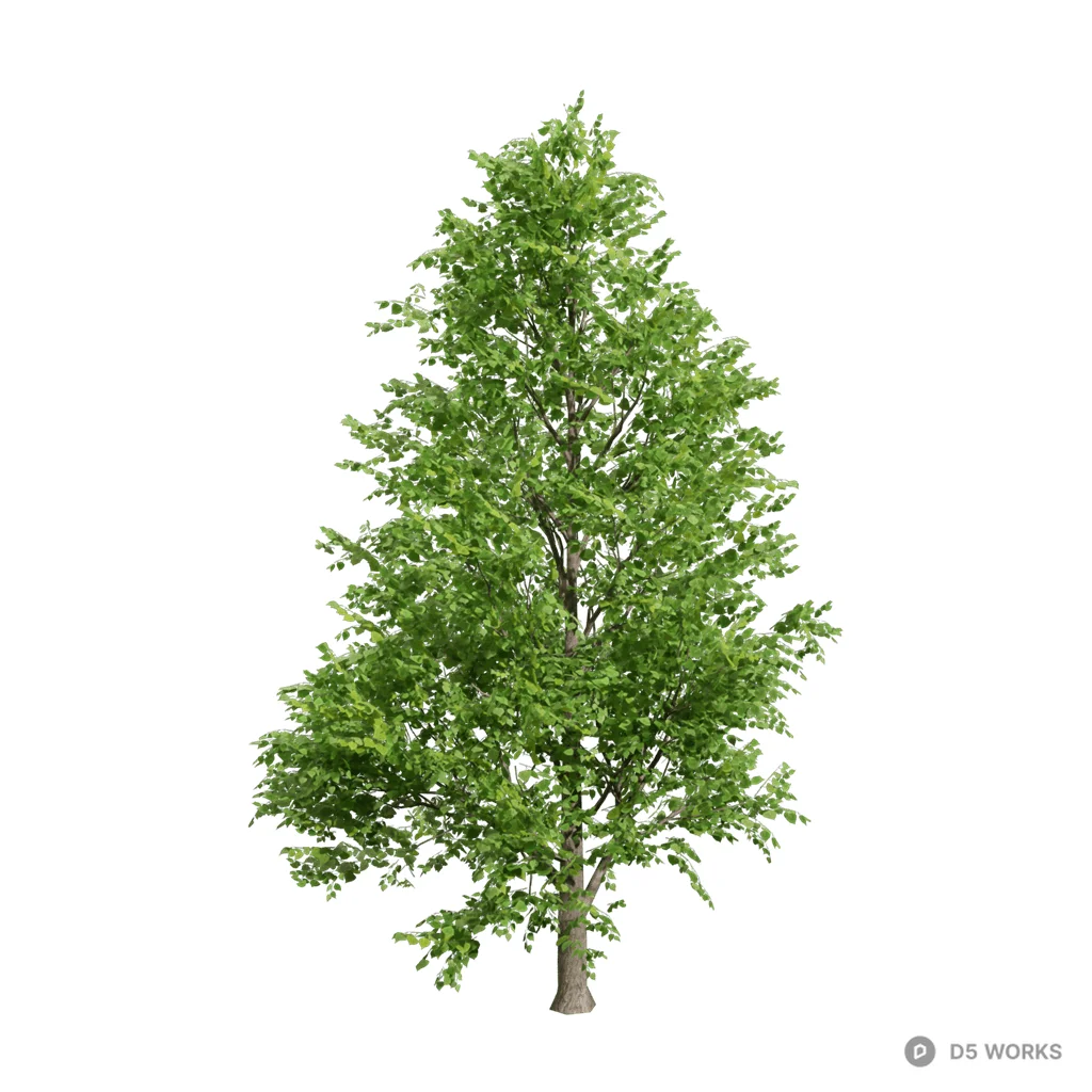 Low poly Populus nigra 05 3d model - Image 1
