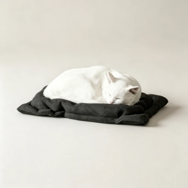 Sleeping White Cat on Charcoal Fabric Cushion 3d model