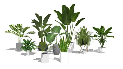 Modern Potted Plants Collection 3d model