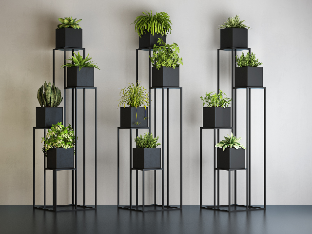 Modern Potted Plant