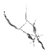 Road cracks 04 3d model