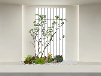 Indoor Landscape