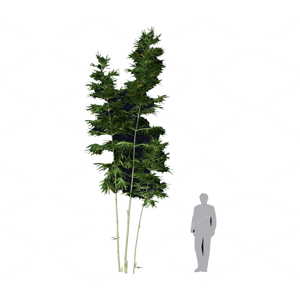 Other Botanicals 3D Models