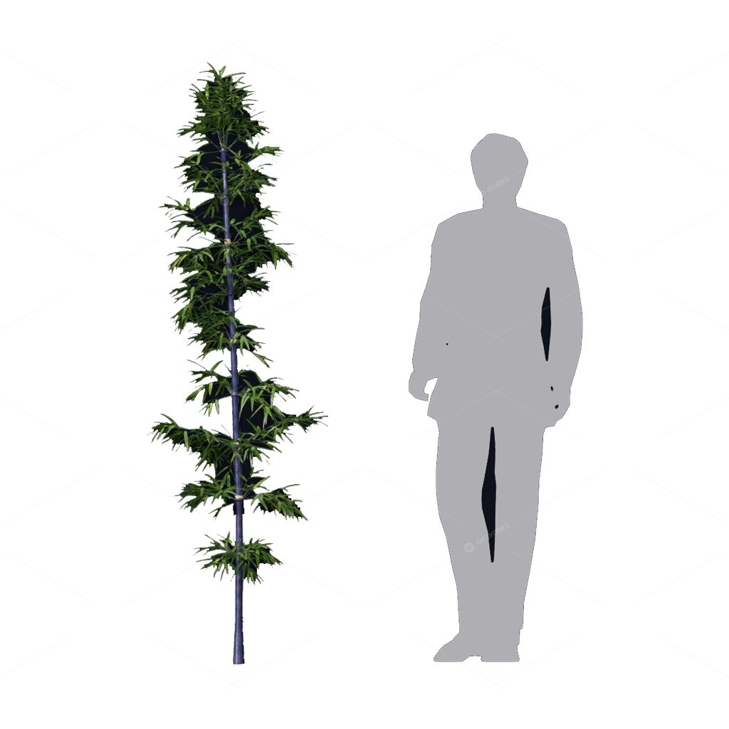 Other Botanicals 3D Models