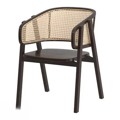Mid-Century Modern Dining Chair