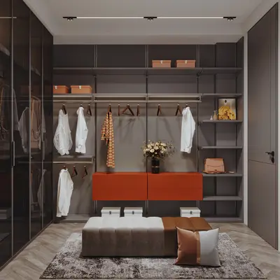 Modern Walk-in Closet