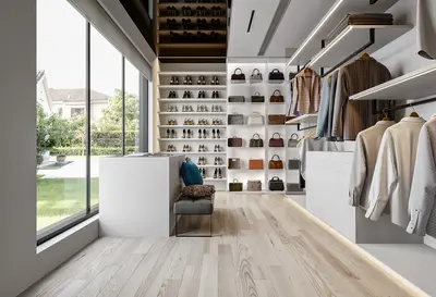 Modern Walk-in Closet