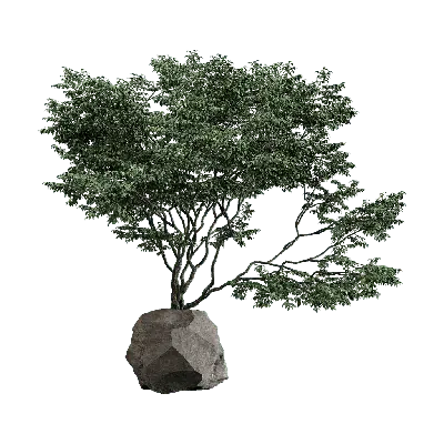 Chinese style mountain stone green tree 02