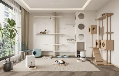 Modern Organic Modern Home Spaces