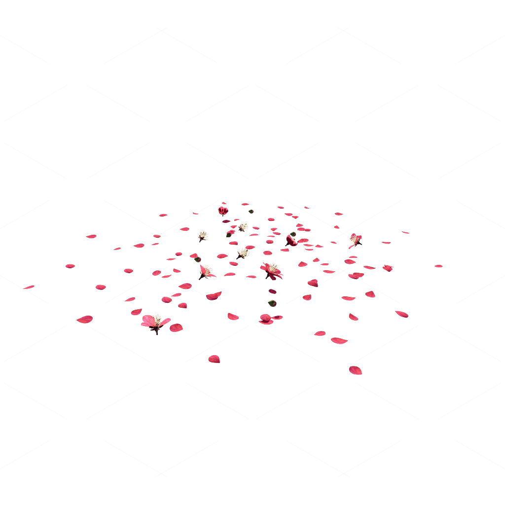 Other Botanicals 3D Models