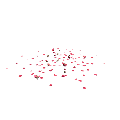 Other Plants Plum blossom petals 