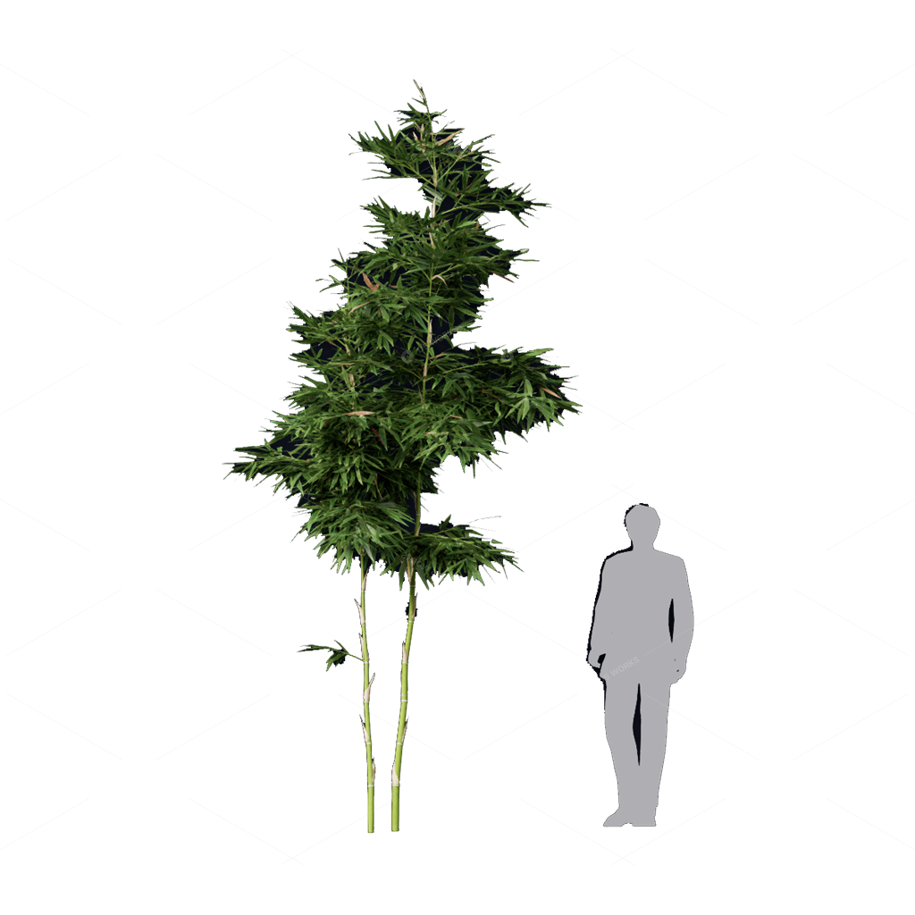 Other Botanicals 3D Models