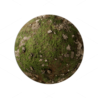 Mud Texture Material