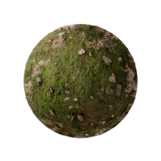 Muddy Ground Mossy Ground
