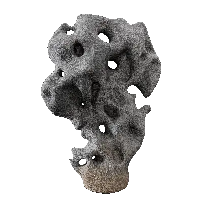 Taihu Stone 18 3d model