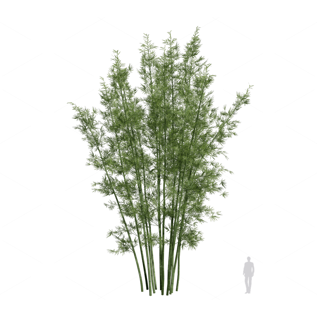 Other Botanicals 3D Models
