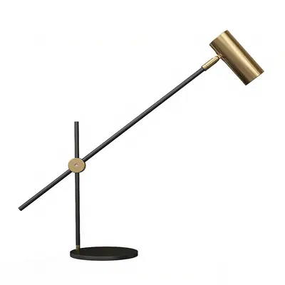 Brass Adjustable Task Lamp 3d model
