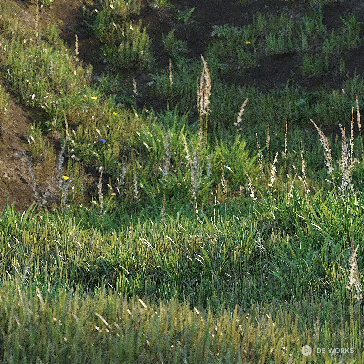 Lush Green Lawn 3d model thumbnail 2